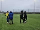 S.K.N.W.K. 1 - FC Dauwendaele 1 (competitie) seizoen 2024-2025 (160/162)